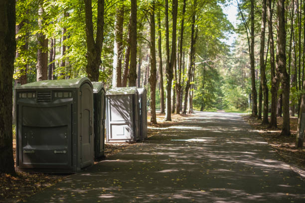 Portable Toilet Options We Offer in Mount Pulaski, IL