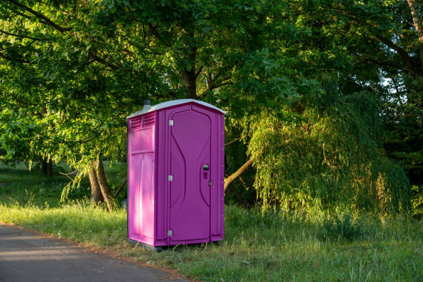 Best Porta potty rental for parties  in Mount Pulaski, IL